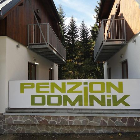 Penzion Dominik Železná Ruda Kültér fotó